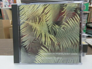 鯛1◆CD◆無傷！◆EDGAR FROESE（エドガー・フローゼ,Tangerine Dream）「EPSILON IN MALAYSIAN PALE」プレグレ