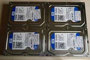 ４台セット WD 250GB×４ WD2500AAKX 3.5インチHDD SATA⑤