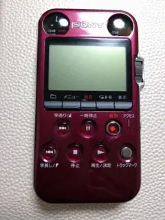 SONY PCM-M10 リニアPCMレコーダー（本体）