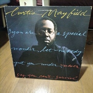 ソウル輸入中古盤レコード　カーティスメイフィールド　Never Say You Can