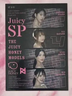 ジューシーハニー PLUS #22 ジューシースペシャルカード 9/9