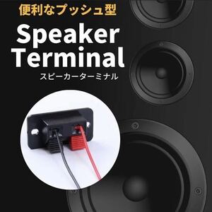 【管C】スピーカーターミナル プッシュ型 接続端子　2個セット　DIY パーツ　