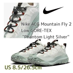 Nike ACG Mountain Fly 2 Low GTX Phantom Light Silver ナイキ ACG マウンテンフライ2 ロー GTX (HF6245-003)グレー26.5cm箱無し