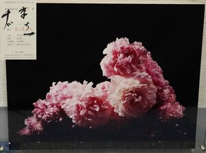 中川幸夫 作 オリジナルプリント ＜魔の山＞より 花は見ている 花は神秘的な山 1999年 共箱 写真 生け花 保証品 ◆12234YA