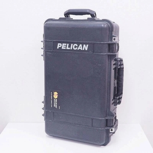 期間限定セール PELICAN PELICAN プロテクターケース 1510