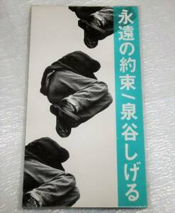 8cm CD　泉谷しげる/永遠の約束