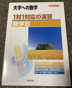 ★【同時落札で送料お得】大学への数学 1対1対応の演習 数学B 東京出版 ※改訂版ではありません ★