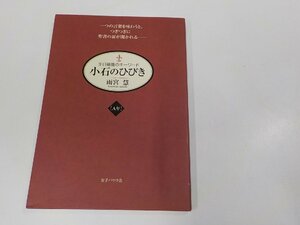 E1846◆小石のひびき 主日福音のキーワ－ド A年 雨宮 慧 女子パウロ会 ☆