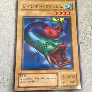 遊戯王カード レインボーフィッシュ