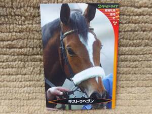 ダービーライブ 実名競馬 コレクションカード 第0弾 キストゥヘブン