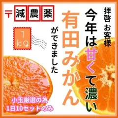 小玉 和歌山 高いコスパ！数量限定！甘い 有田みかん1kg 早生 蜜柑 ミカン