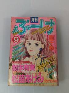 月刊 ぶ～け 超特大号 1993年 9月号 松苗あけみ 梨木有実 聖千秋 240926