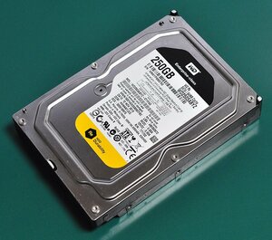 WD WD2503ABYZ (250GB/SATA)[管理:SA1295]