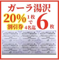 GALA湯沢スキー場 株主優待券 2024-2025 6枚 ！