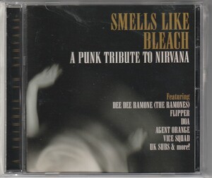 CD Smells Like Bleach Tribute to Nirvana