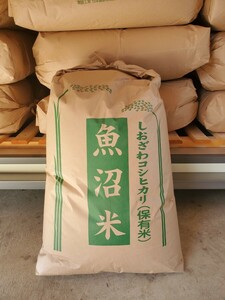 新米　令和6年度産　南魚沼産コシヒカリ　従来コシヒカリ　しおざわ地区　お米　30kg　玄米 新潟産　最高品種