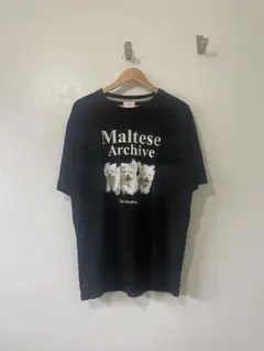 本物　美品　ワイケイ マルチーズ Tシャツ WaiKei Lサイズ