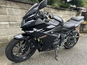 GSX250RA (GSX250R)　DN11A　書類、 鍵付き レストアベース車or部品取り車　画像現状車