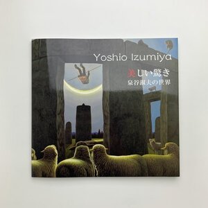 美しい驚き　泉谷淑夫の世界　2019年　池田20世紀美術館　y01677_2-j3