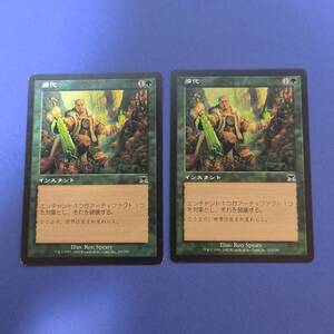 MTG/帰化/Naturalize/日本語/2枚