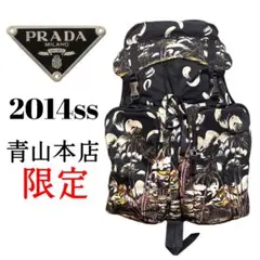 【極少数レア】14ss PRADA 青山本店限定 V136 バックパック