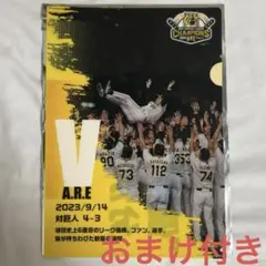 阪神タイガース　優勝　胴上げ　クリアファイル