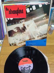 the Stranglers ストラングラーズ LP国内盤 don