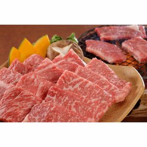 〔グルメギフト〕三重 霜ふり本舗 松阪牛 焼肉用 ロース・肩ロース700g、牛脂付