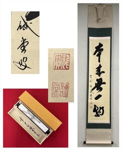 【千寿】大徳寺派 塔頭三玄院 藤井誡堂 本来無一物 一行 紙本 d494◆箱/茶道具/古美術/時代品/掛軸/100023870