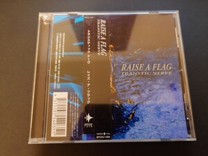 TRANSTIC NERVE/RAISE A FLAG 