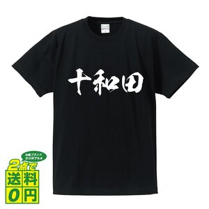 十和田 書道家が書く デザイン Tシャツ 【 青森 】 メンズ レディース キッズ