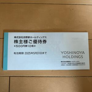 送料込 吉野家株主優待券5000円分 2025/5/31まで