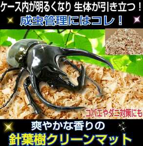 成虫管理にはこれが一番です！爽やかな香りの針葉樹クリーンマット☆生体が目立ちケース内が明るくなる！コバエやダニもわきません　20L