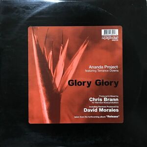 【HOUSE/DEEP/VOCAL】Ananda Project feat. Terrance Downs / Glory Glory ■ Nite Grooves / KNG 129 / David Morales Remix