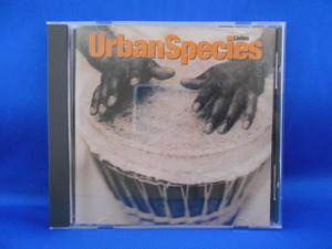 CD/Urban Species アーバン・スピーシーズ/Listen リッスン (輸入盤)/中古/cd19405