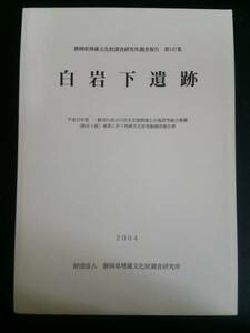 白岩下遺跡 静岡県埋蔵文化財調査研究所調査報告 第147集