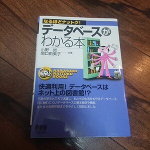 データベースがわかる本 （なるほどナットク！） 小野哲／共著　関口由美子／共著