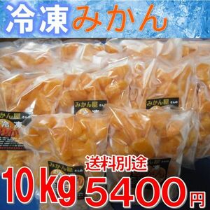 冷凍みかん 10kg（1ｋｇ×10袋）　訳あり　宮崎県産　温州みかん　ご自宅用　ご家庭用