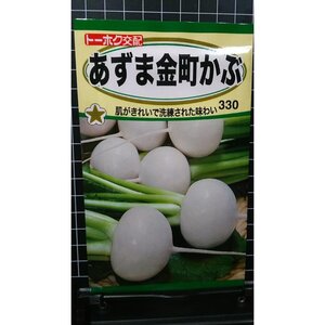 ３袋セット あずま 金町 かぶ 種 郵便は送料無料