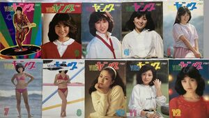 YOUNG ヤング1981年10冊一括沢田研二石川ひとみリリーズ太田裕美フィーバーアン・ルイスアグネスチャントライアングル小柳ルミ子