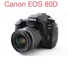 保証付/属品完備/デジタル一眼レフカメラ/Canon EOS 80Dレンズセット