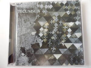 CD/US: Heavy Drone Raga/Tecumseh - Avalanche & Inundation/John Krausbauer: Tecumseh/ドローン.メタル.バンド