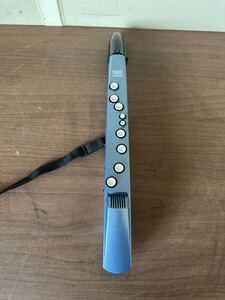 Roland ローランド デジタルサックス Aerophone mini AE-01