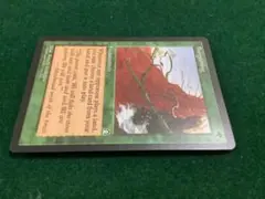 MTG Burgeoning / 芽ぐみ 英語版 1枚