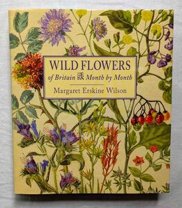 Margaret Erskine Wilson 植物画 英国・アイルランド 野生の花 洋書 Wild Flowers of Britain Month by Month ボタニカルアート