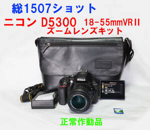 1507ショット★ニコン Nikon D5300 18-55mmVR Ⅱ ズームレンズキット 美品　正常作動 