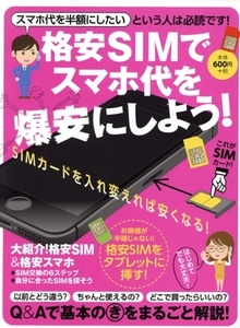 格安SIMでスマホ代を爆安にしよう！/スタンダーズ