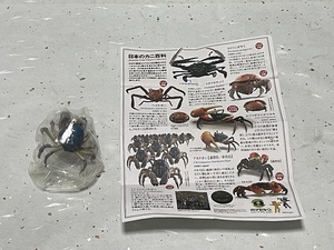 日本カニ大全　　ミナミコメツキガニ　海洋堂　　日本のカニ百科　　可動フィギュア　カプセルQミュージアム