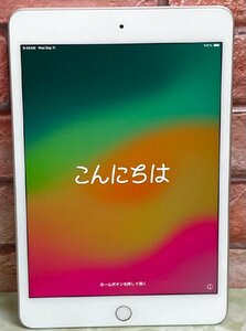 1円～ ●Apple iPad mini 第5世代 / Wi-Fi + Cellular / 256GB / シルバー / iOS 17.5.1 / 7.9型 (2048x1536) / バッテリー90% / MUXD2J/A