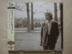 SHM-CD 『David Sylvian/Brilliant Trees(1984)』(リマスター音源,2015年発売,UICY-25456,国内盤帯付,歌詞対訳付,Red Guitar,Japan,80